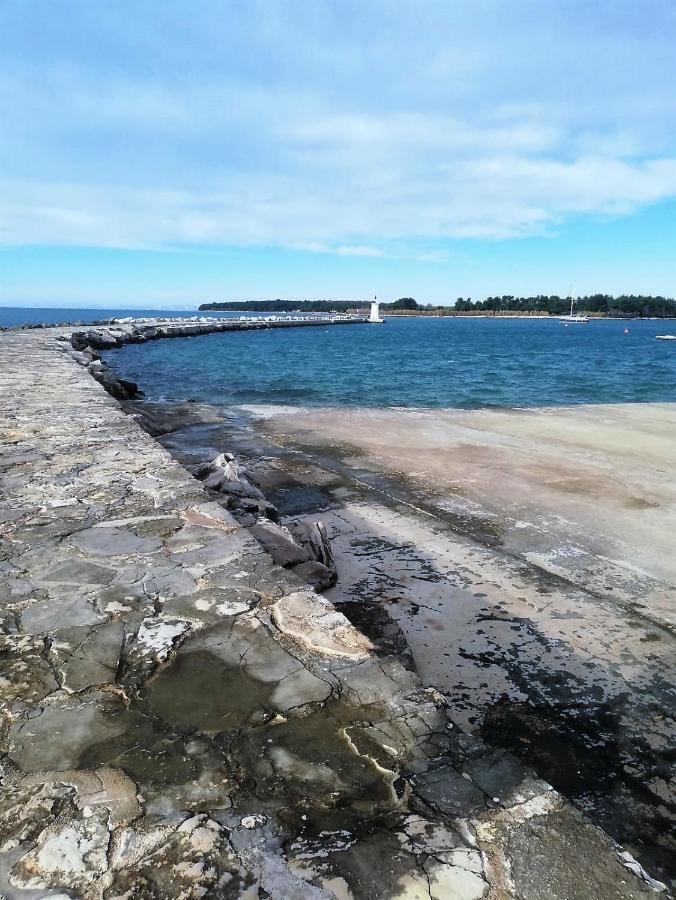 Apartment Jana Novigrad Istria Eksteriør bilde